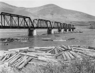Logs jam underneath the Spalding railroad bridge during a log drive.