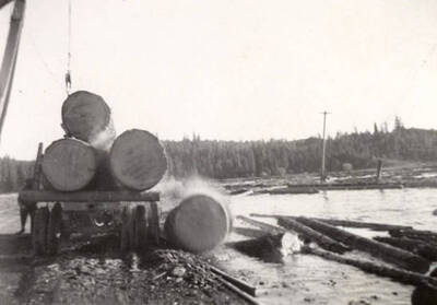 Logs loaded on a truck and transported to the pond.