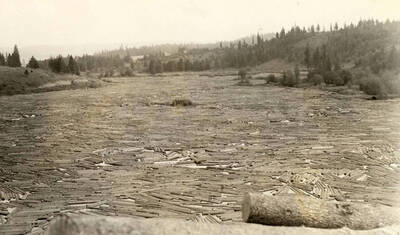 View of the upper log pond