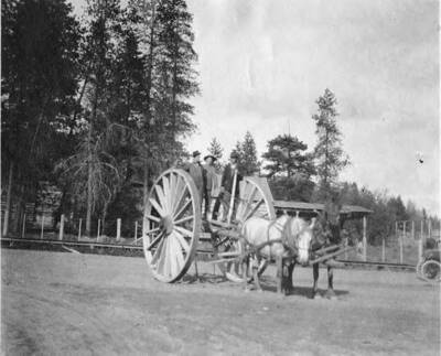 Three men stand atop the front end of a big-wheeled wagon hitch with two harnessed draft horses in front.