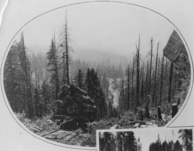 A load of logs tied to a flatcar are slowly winched down the mountain on railroad tracks.