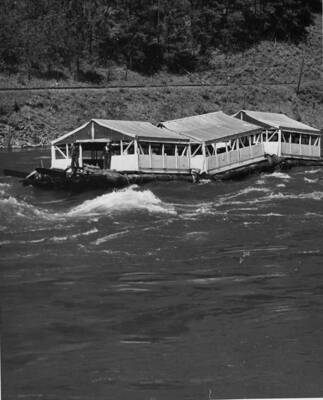 A wangian battles the white water rapids of the Clearwater River.
