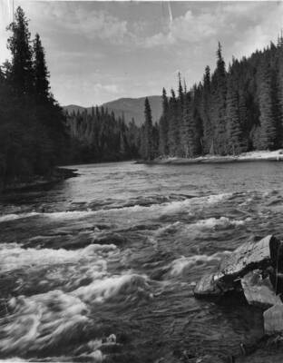 Looking at the North Fork of the Clearwater river.
