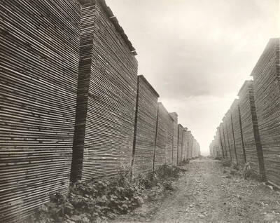 View of lumber stacked in yard.