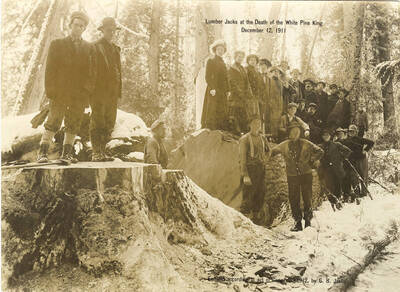 Lumberjacks and members of the management of Potlatch lumber company stand on and around the White Pine King.