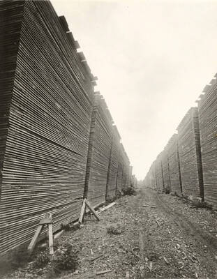 View of lumber stacked in yard.