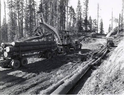 A crane loads a log onto a trailer full of logs while logs wait to the side to be loaded.