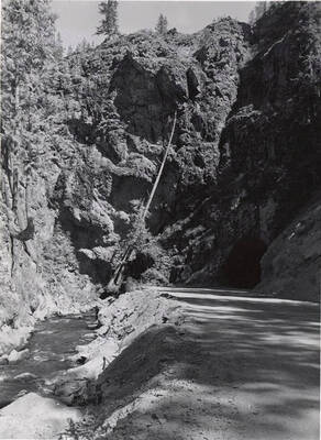 Tunnel through which trucks travel on the logging road on Fish Hook Creek Road. Logs go down this road to Avery [ID] to be loaded on rail cars.