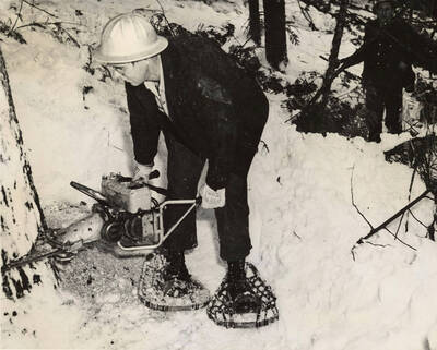 A man, wearing snowshoes, uses a chainsaw to cut at the base of a tree.
