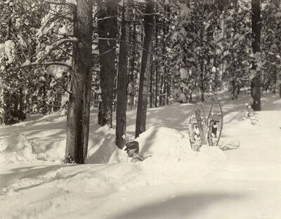 A man stands near a tree in preparation for cutting it town. The snow surrounding the tree well is at the height of his shoulders. His snowshoes stand stuck into the snow behind him.