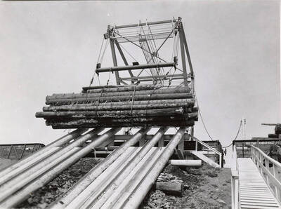 A log unloader unloads logs from a train at the Rutledge mill in Coeur D'Alene, Idaho.
