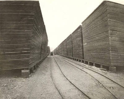 View of lumber yard. Note railway tracks running between stacked lumber.