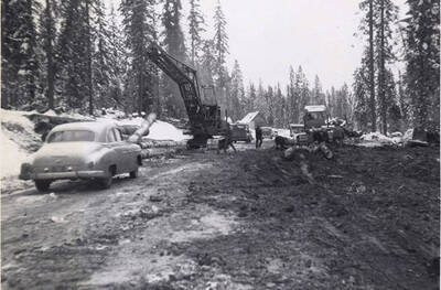 A crane stacks a log on a pile for transport.