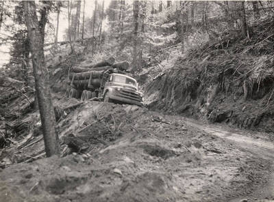 A truck carries a load of logs down a mountain road.