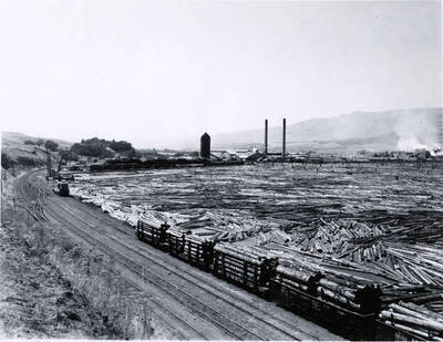 Clearwater Sawmill and Lumber - Log Pond [03]