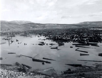 A view of the log pond at the Clearwater Paper Mill. The photograph was taken either January 2, 1973 or February 2, 1973.