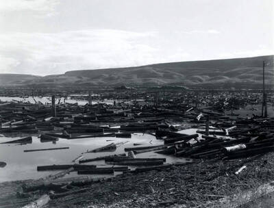 A View of the log pond at the Clearwater Paper Mill. In addition pilings are shown in and around the logs.