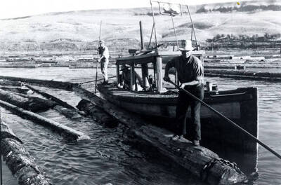 Men use a boat and long poles to bring logs off the log pond. These men were known as Pond men or Pond Monkeys.