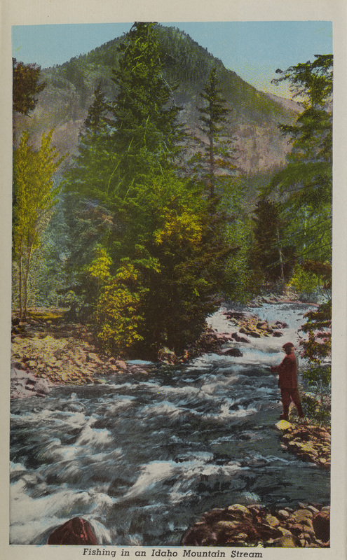 Postcard is part of a postcard packet. Image is of a fisherman fishing in an Idaho stream.