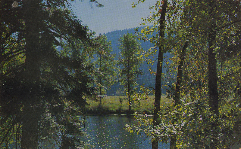 Postcard of the St. Joe River in Idaho.