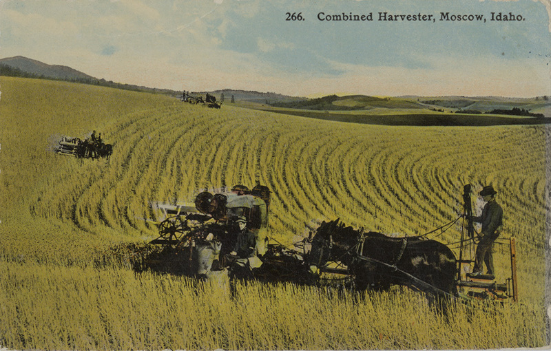 Combined harvester, Moscow, Idaho.