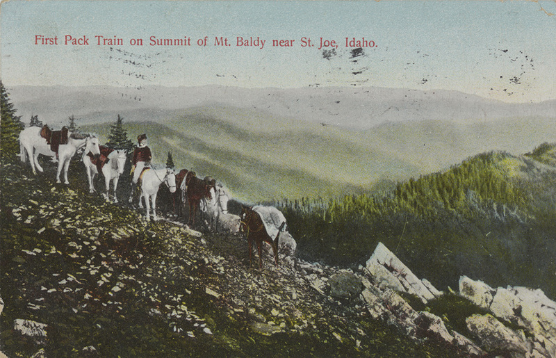 First pack train on summit of Mt. Baldy near St. Joe, Idaho.