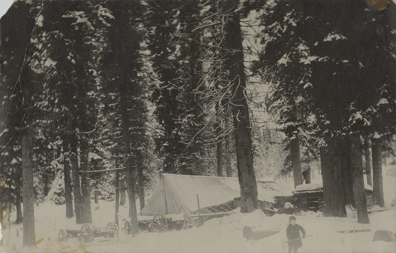 Logging camp, Collins, Idaho.