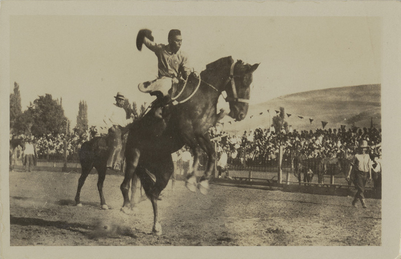 Postcard of a cowboy on a bucking horse, possibly at the Lewiston Roundup.