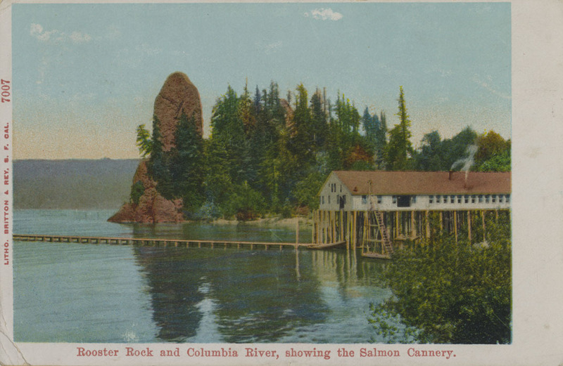 Postcard of Rooster Rock and a Salmon cannery on the Columbia River.