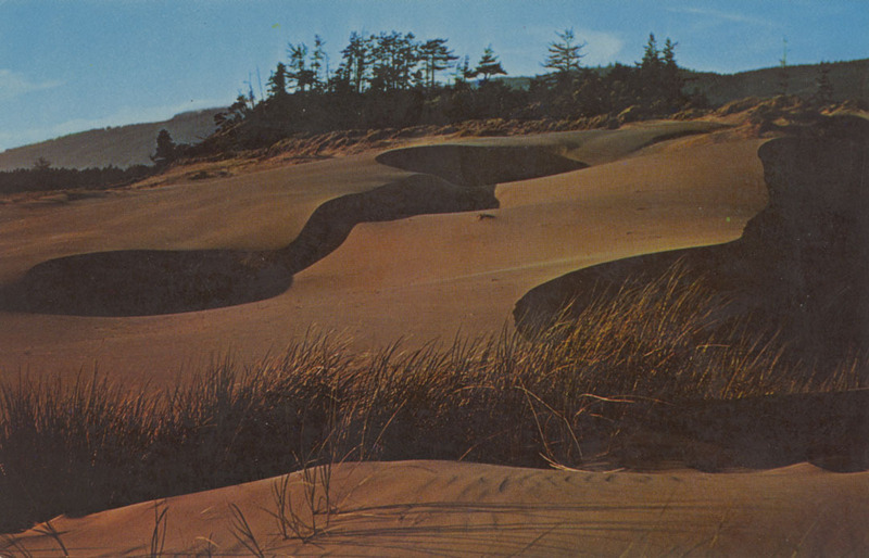 Postcard of sand dunes on the Oregon Coast. | Located between Florence and Coos Bay, they are one of the scenic wonders of the Pacific Coast.