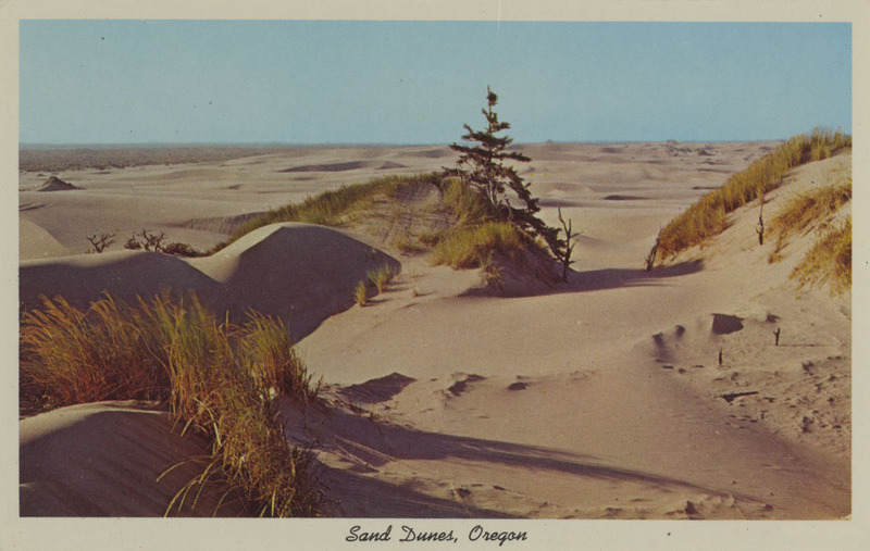 Postcard of sand dunes on the Oregon Coast. | Miles and miles of drifting sand. Dune riding is a thrilling sport.