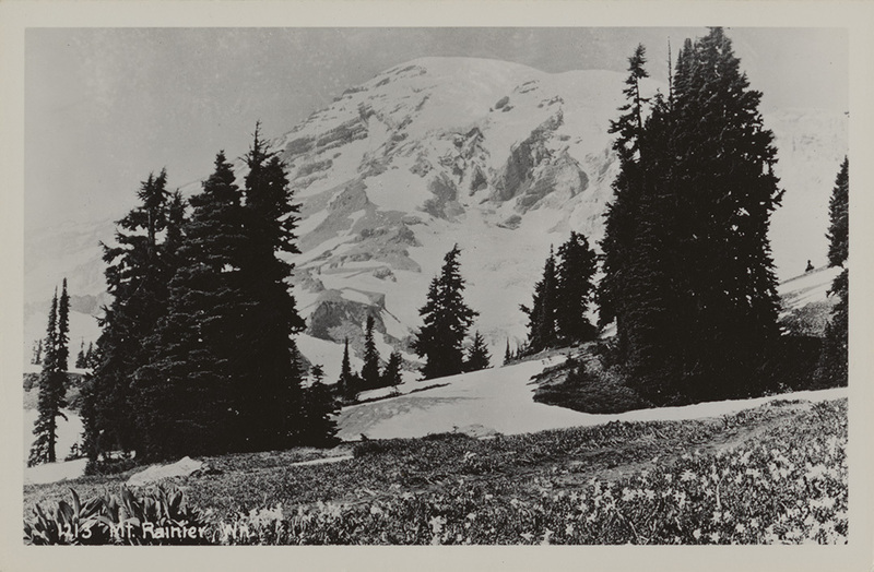 Postcard of Mt. Rainier, Washington.