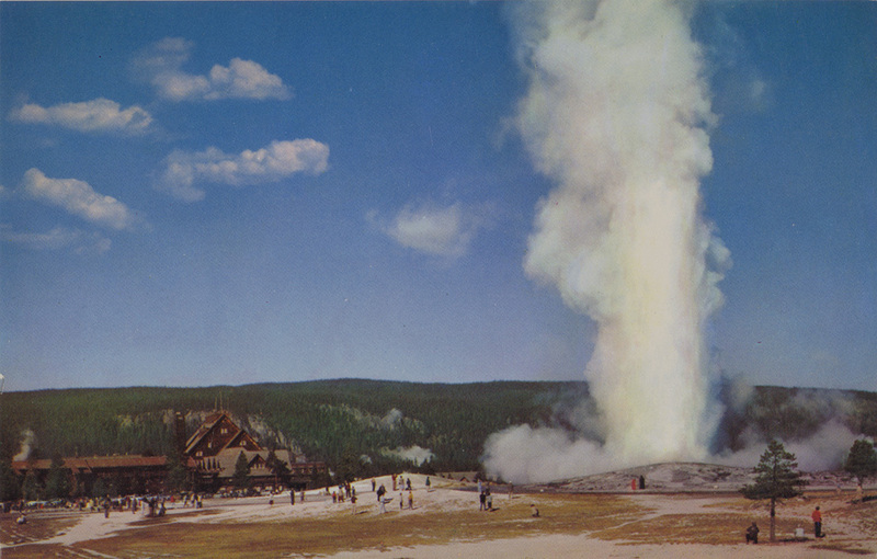 Postcard of a geyser in Yellowstone National Park, Wyoming. | Old Faithful Geyser, Yellowstone National Park. Most famous geyser in Yellowstone National Park, Old Faithful erupts to a height of 116 to 171 feet every 60 to 65 minutes.