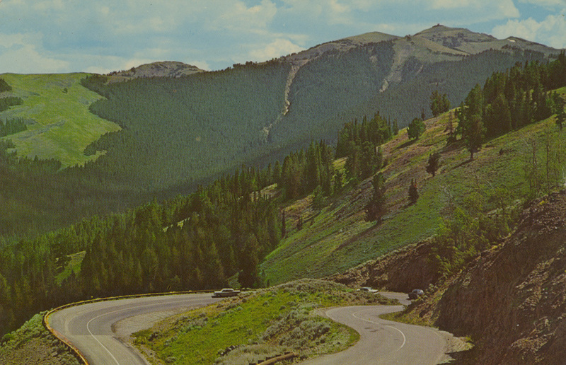 Mt. Washburn road, Yellowstone National Park.