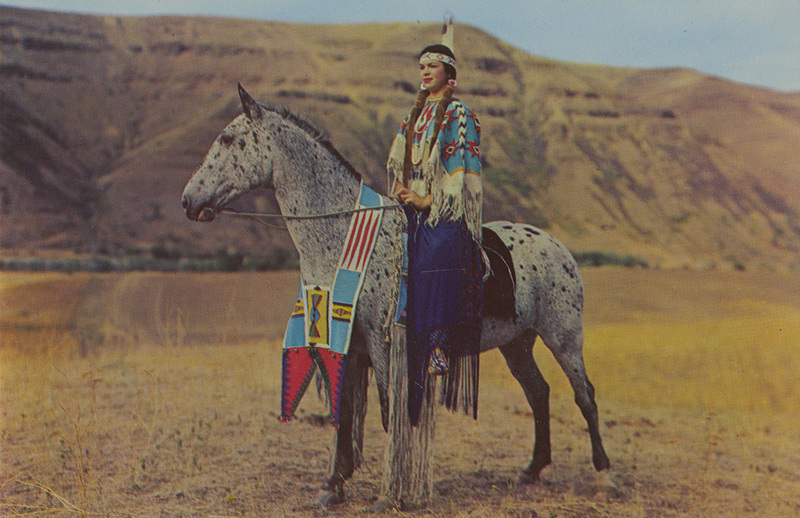 Postcard of a Nez Perce woman on a horse. | A pair of Nez Perce queens. Amy Tilden, great-grand niece of Chief Joseph of Nez Perce War fame. She is wearing the ceremonial dress worn by her aunt at the last big council between Chief Joseph and Gen. Howard prior to the outbreak of war. She is aboard Bonnie, Grand Champion Mare of 1947 & 49, one of C.H. Ralston's registered Appaloosa horses. The breed known over the Great Plains before the Lewis & Clark expedition as the greatest horse in the West.