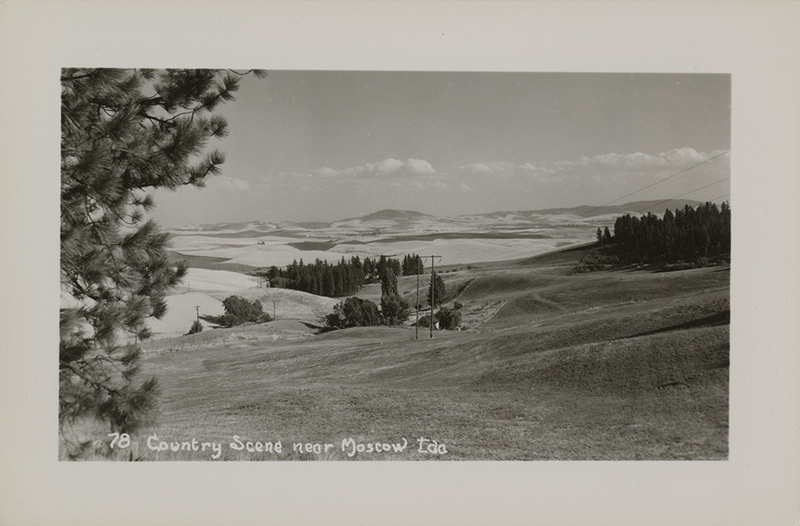 Postcard of a rural scene near Moscow, Idaho.