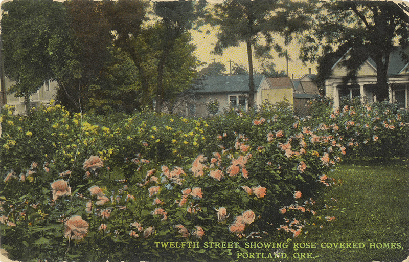 Twelfth Street, Showing Rose Covered Homes, Portland, Oregon