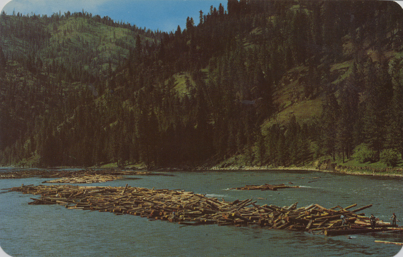 Log Drive on the Northfork of the Clearwater River