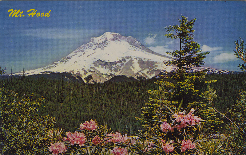 Mt. Hood and Rhododendrons