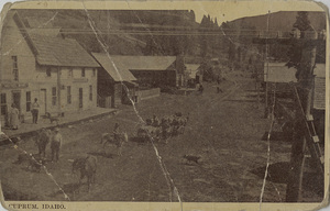 Postcard of a street scene in Cuprum, Idaho.