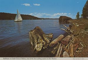 Postcard of sailboats on Lake Coeur d'Alene, Idaho. | Sailboats on Lake Coeur d'Alene, one of the best sailing waters in the Nation. Photo by Duane D. Davis. Driftwood beaches contrast the sleek craft of these landlocked mariners. Lake Coeur d'Alene hosts regional and national regattas in addition to its large, active local fleet. Skippers are attracted to this lake by the gentle prevailing breezes and lack of high wave action. Cape Coeur d'Alene, on the lake's eastern shore, marks the setting of this scene southeast of Coeur d'Alene, Idaho.