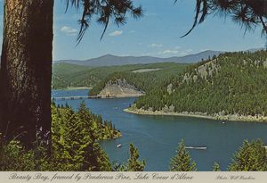 Postcard of Beauty Bay at Lake Coeur d'Alene, Idaho. | Beauty Bay, framed by Ponderosa Pine, Lake Coeur d'Alene. Photo: Will Hawkins. Often described as one of America's most beautiful lakes, it is situated in Northern Idaho 100 miles from Canadian Border. The city of Coeur d'Alene, six miles to the west, craters to tourists from all over the World. Scene is from viewpoint trail off Alt. 95 to Harrison and St. Maries. Blue Bay Bridge on I-90 is at left center.