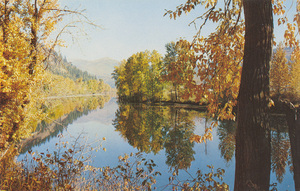 Postcard of the St. Joe River with fall colors. | The Shadowy St. Joe River. In a land of rushing trout streams, the quiet contrast of this tranquil river furnished poetic loveliness to the St. Maries and Coeur d'Alene, Idaho, region.