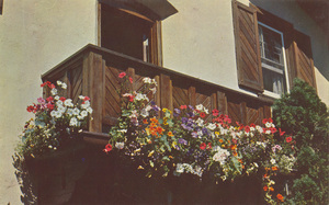 Postcard of flowers on a balcony at a ski resort in Sun Valley, Idaho. | Flowers on balcony of the Willow Chalet, Sun Valley, Idaho.