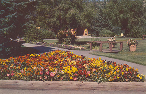 Postcard of flowers at a ski resort in Sun Valley, Idaho. | Pansy triangle near inn pool, Sun Valley, Idaho