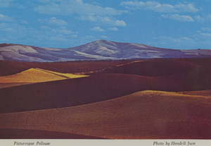 Postcard of the rolling hills of the Palouse near Moscow, Idaho. | The land of the Palouse is known for beautiful landscapes and fabulous yields. Wheat and dry edible peas are raised in record yields. The Palouse is located in Idaho, surrounding Moscow, and in Southeast Washington.