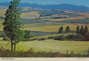 Postcard of the patchwork rolling hills of the Palouse near Moscow, Idaho.