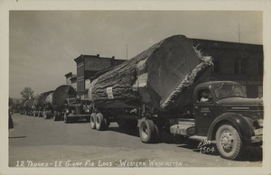 Postcard of log trucks carrying large fir logs through a western Washington town. | 12 trucks - 12 giant fir logs - Western Washington.