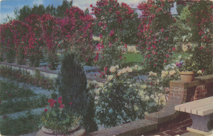 Postcard is of the Lambert Gardens, a rose garden in Portland, Oregon.  | Lambert Gardens, located at 5120 Southeast 28th Avenue, is one of the show places of Portland - long known as the City of Roses. Union Oil Company's Natural Color Scenes of he West. Tour the west this year with 76 gasoline.