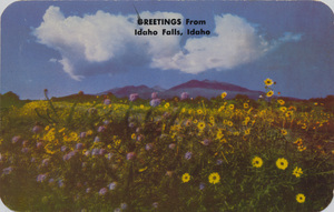 Postcard of flowers and mountains near Idaho Falls, Idaho. | Greetings from Idaho Falls, Idaho. Wild sunflowers and Rocky Mountain Bee Plant in bloom on the desert.